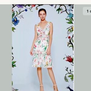 Tadashi shoji white floral Olga dress Sz 12 NWT